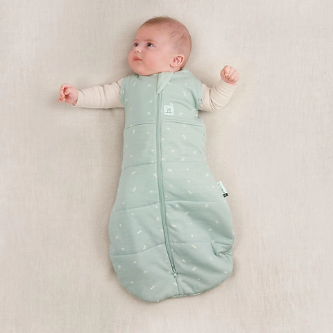 Ergopouch Cocoon Swaddle Bag 2.5 tog-Baby Sleeping Bags-Ergopouch-Sage-6 to 12 months-www.hellomom.co.za