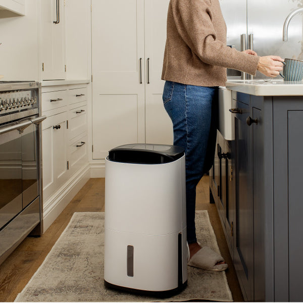 Meaco Dry Arete Two 25L Dehumidifier and Air Purifier