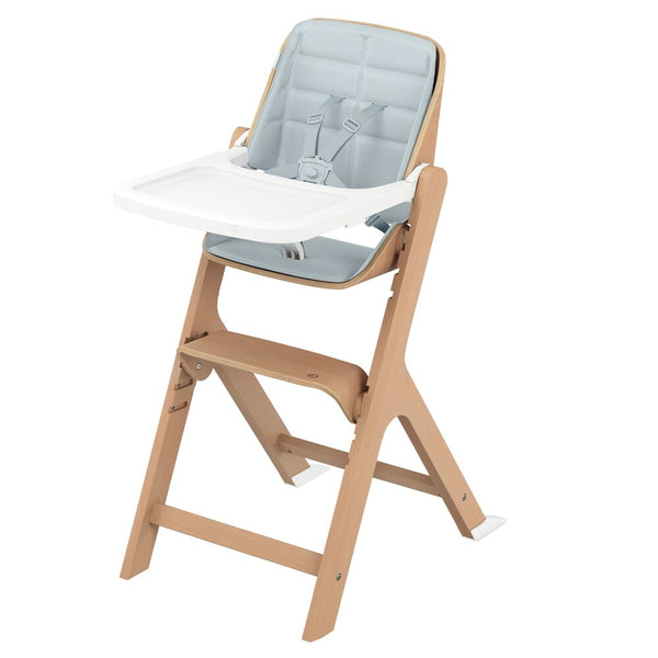 Maxi Cosi Nesta Baby and Toddler Kit