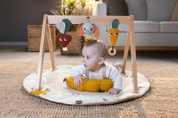 Tiny Love Garden of Adventures Luxe Developmental Gymini-Play Gym-Tiny Love-www.hellomom.co.za