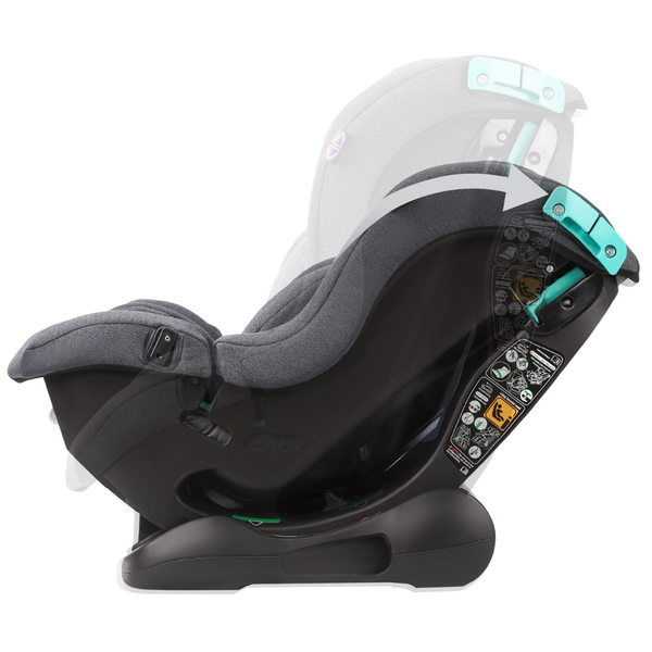 Cozy N Safe Fitzroy+ All Stages Seat Belt Car seat-Baby & Toddler Car Seats-Cozy N Safe-Black-www.hellomom.co.za
