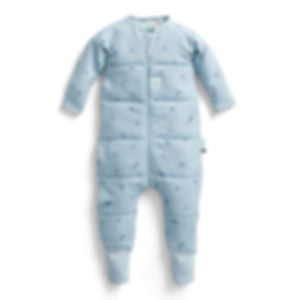 Ergopouch Sleep Onesie 2.5 tog-Ergopouch-Dragonfly-6 to 12 months-www.hellomom.co.za