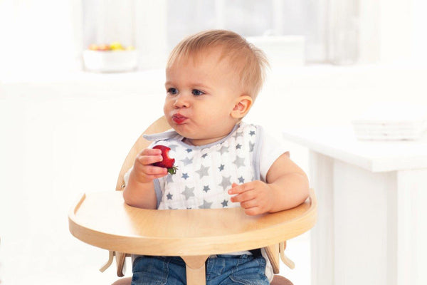 Aden + Anais 3 Pack Bibs-Aden and Anais-Twinkle-www.hellomom.co.za