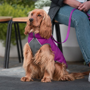 Red Dingo Puffer Jacket - Plum/Hot Pink Reversible-Pet Supplies-Red Dingo-30-www.hellomom.co.za